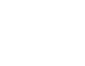 Vision Institute